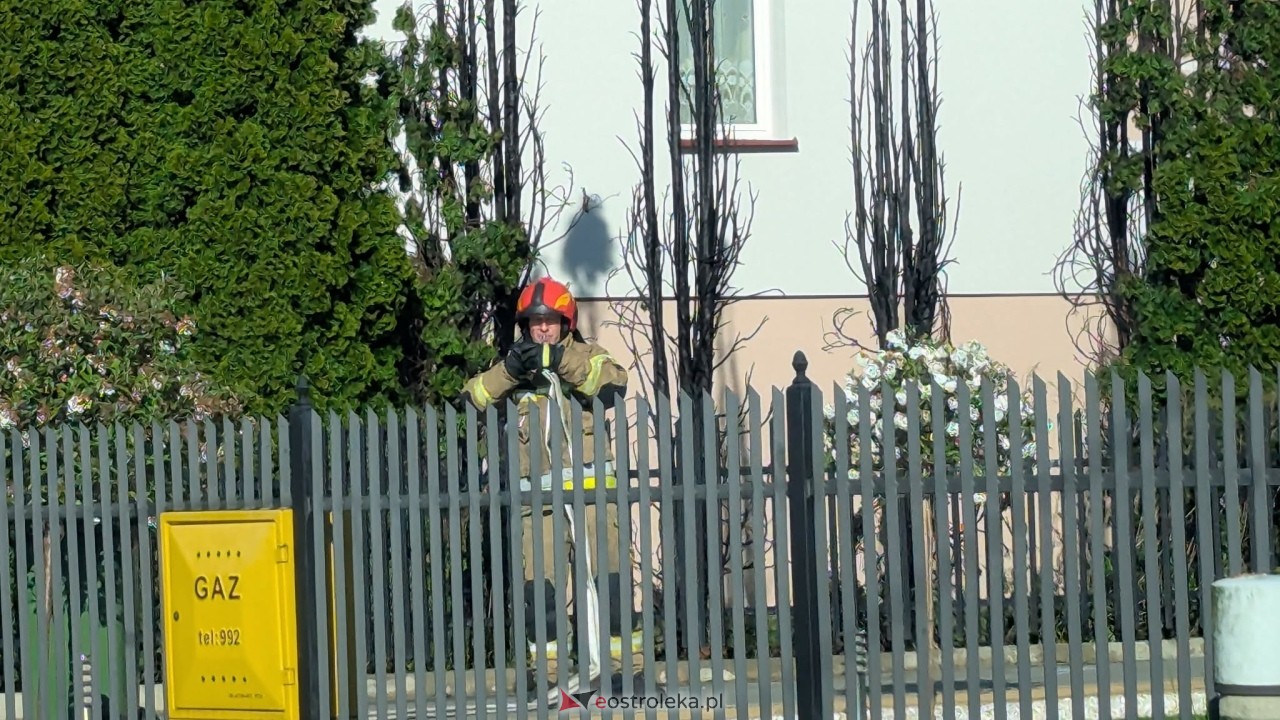 Pożar tuj przy Wiejskiej w Ostrołęce [22.05.2026] - zdjęcie #3 - eOstroleka.pl
