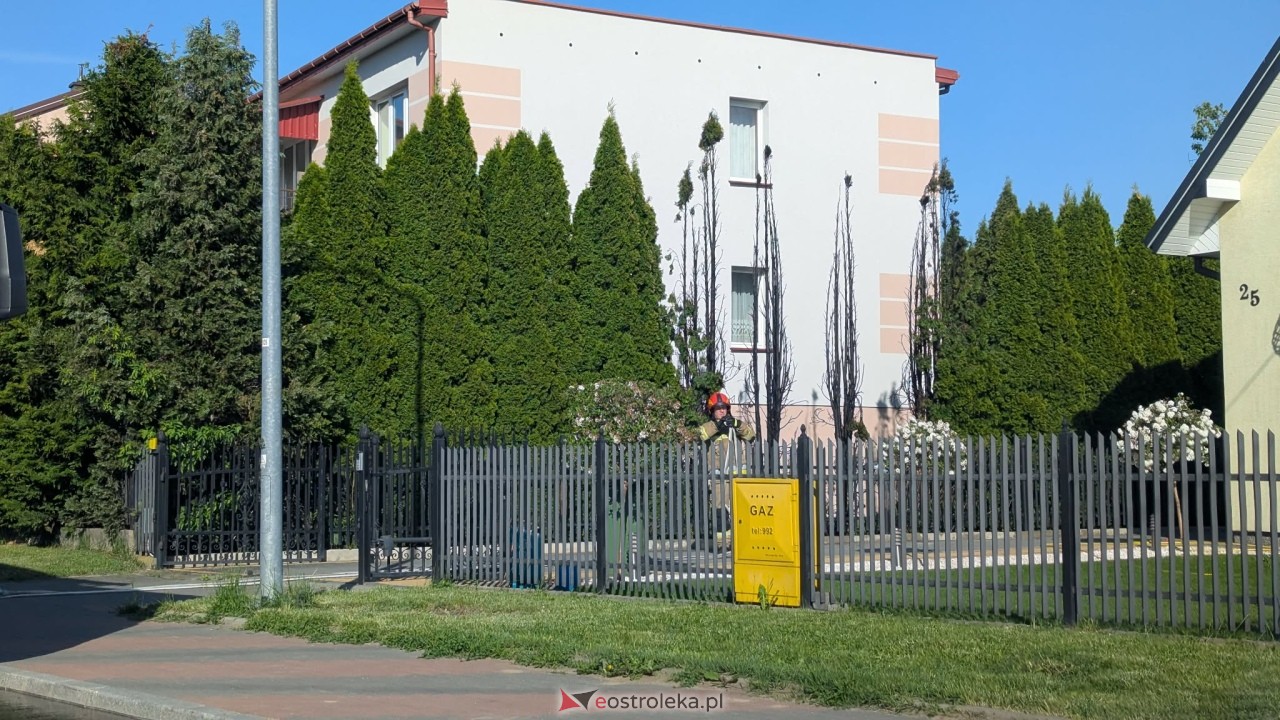Pożar tuj przy Wiejskiej w Ostrołęce [22.05.2026] - zdjęcie #2 - eOstroleka.pl