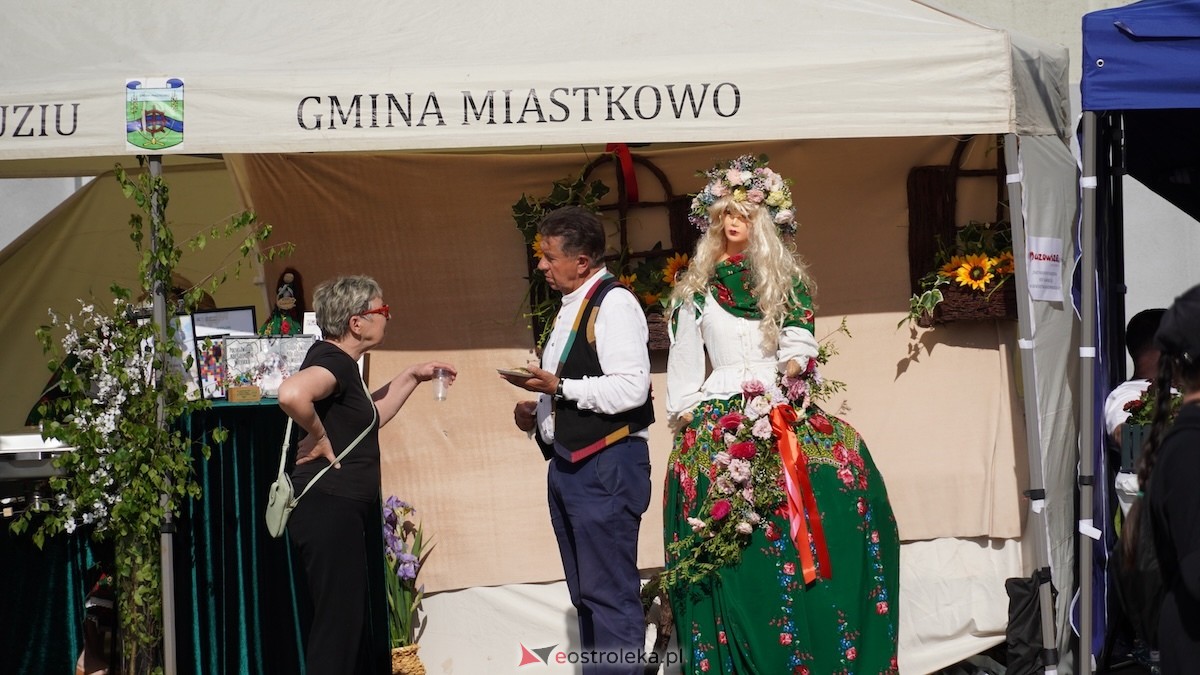 WSAPonalia 2026  [23.05.2026] - zdjęcie #117 - eOstroleka.pl
