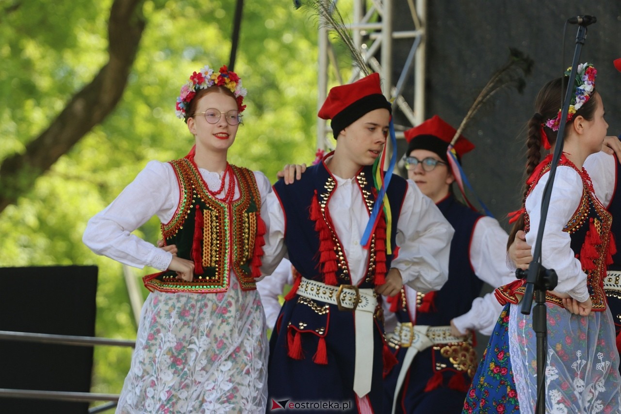 Rocznica Bitwy pod Ostrołęką [26.05.2026] - zdjęcie #2 - eOstroleka.pl