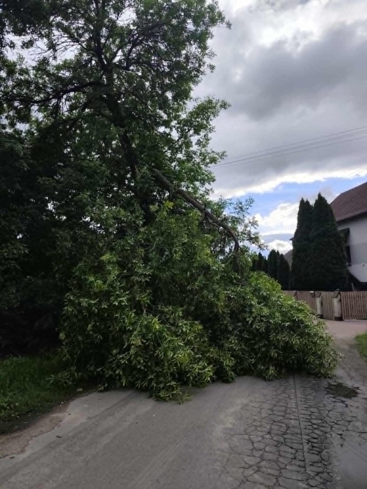 Strażacka interwencja w Wólce Brzezińskiej [12.06.2026] - zdjęcie #3 - eOstroleka.pl