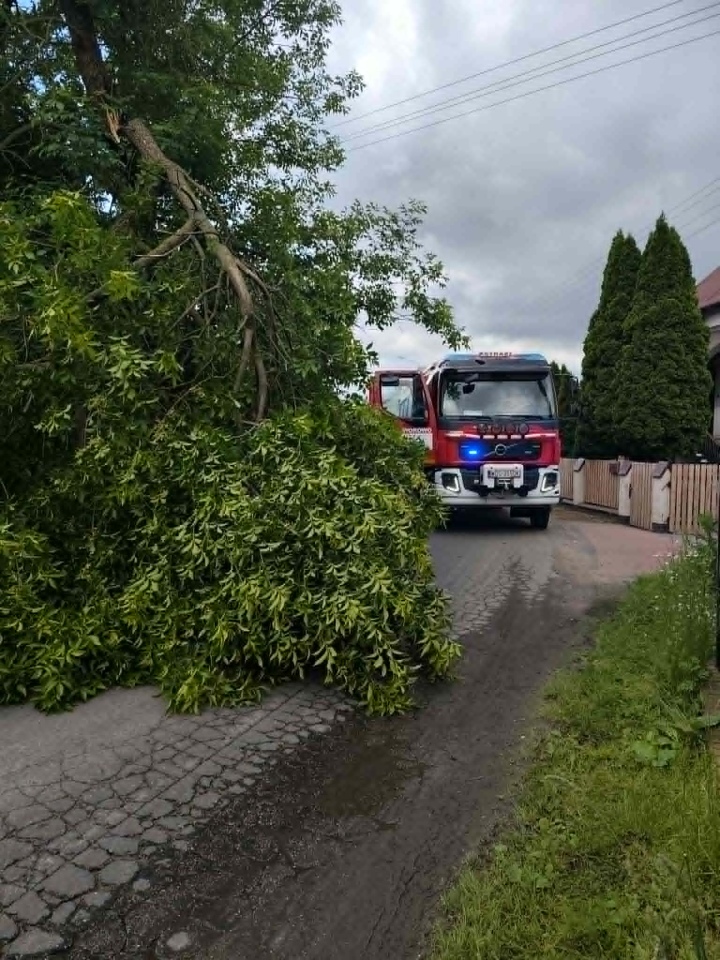 Strażacka interwencja w Wólce Brzezińskiej [12.06.2026] - zdjęcie #1 - eOstroleka.pl