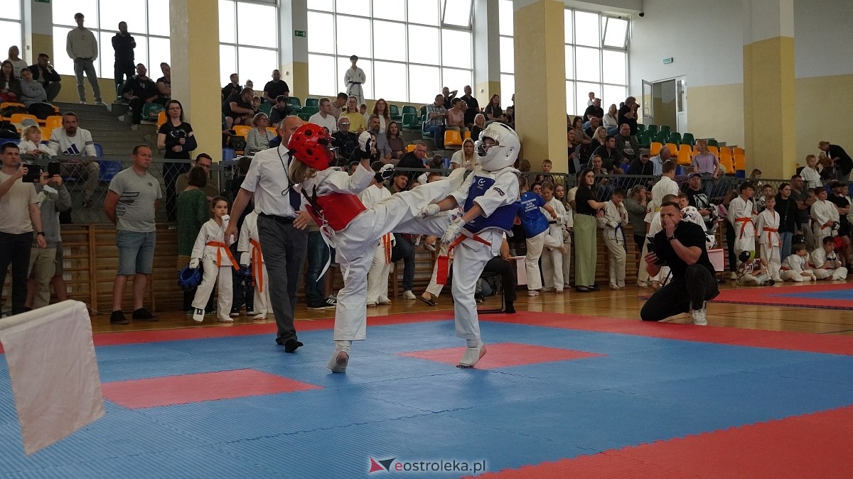 Turniej na 40-lecie Ostrołęckiego Klubu Karate Kyokushin [13.06.2026] - zdjęcie #1 - eOstroleka.pl