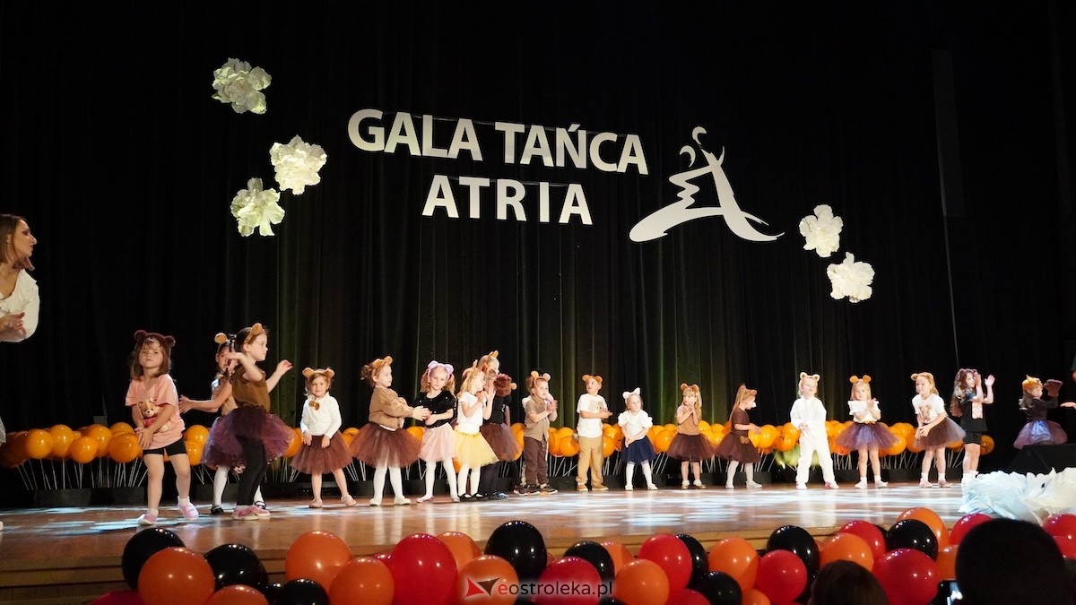 Gala Tańca Atria [15.06.2026] - zdjęcie #47 - eOstroleka.pl