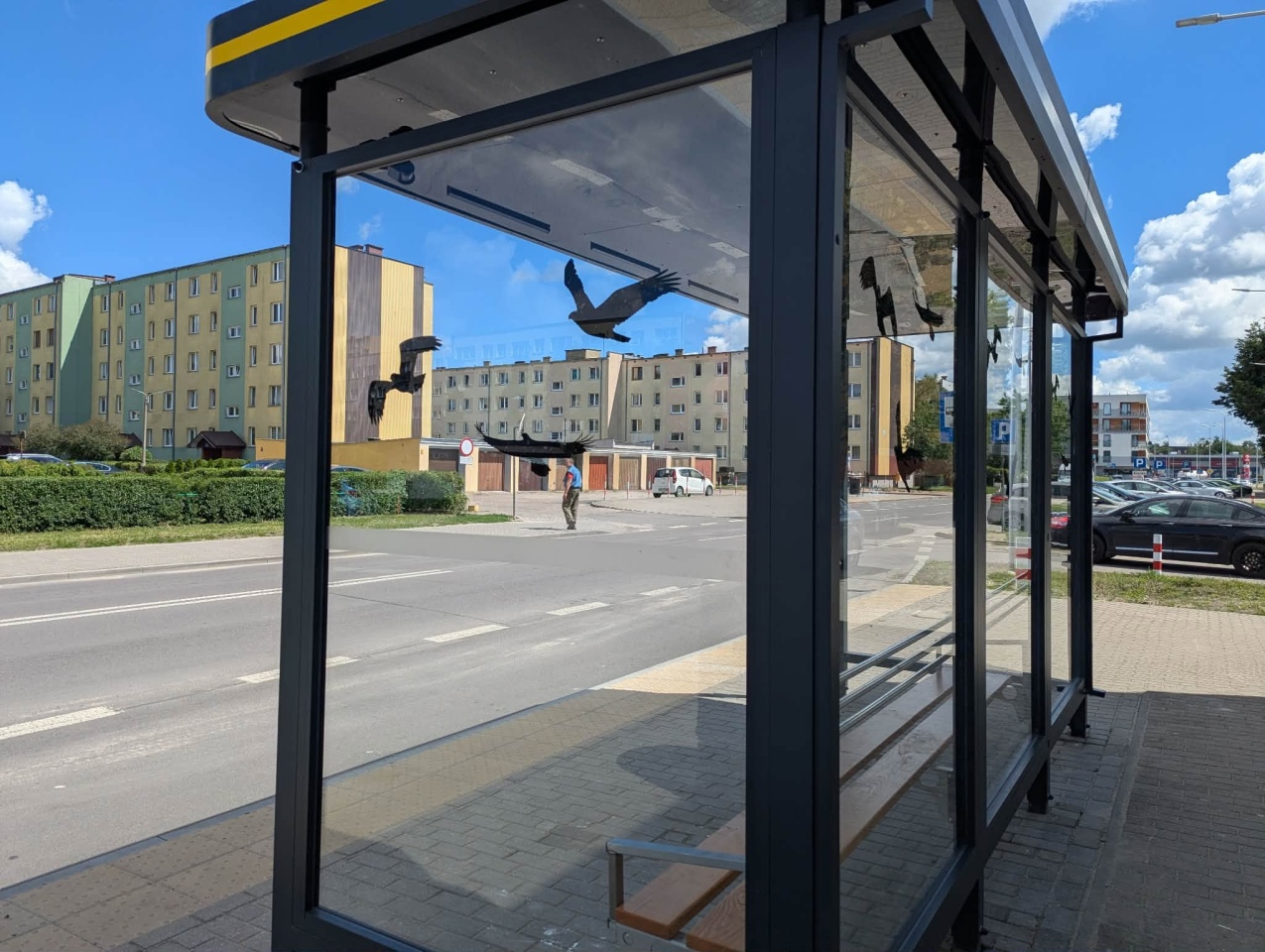 Nowe wiaty przystankowe w Ostrołęce [17.06.2026] - zdjęcie #4 - eOstroleka.pl
