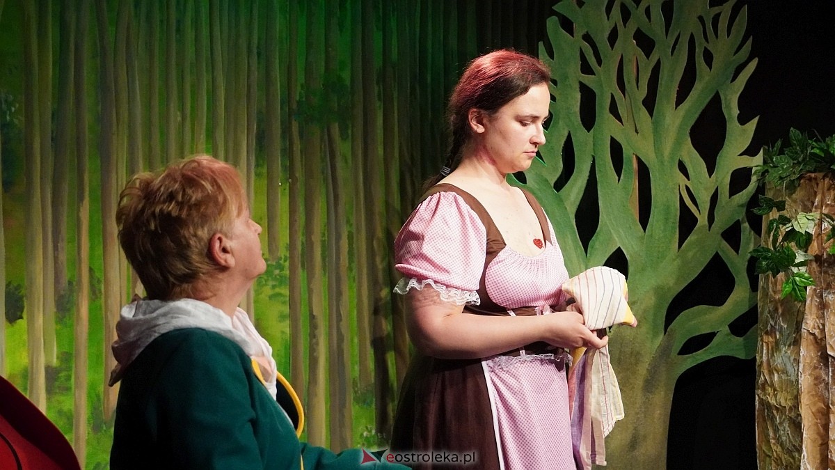 V Ostrołęcka Wiosna Teatralna - spektakl Bajki dla dorosłych, część 2 [19.06.2026] - zdjęcie #15 - eOstroleka.pl
