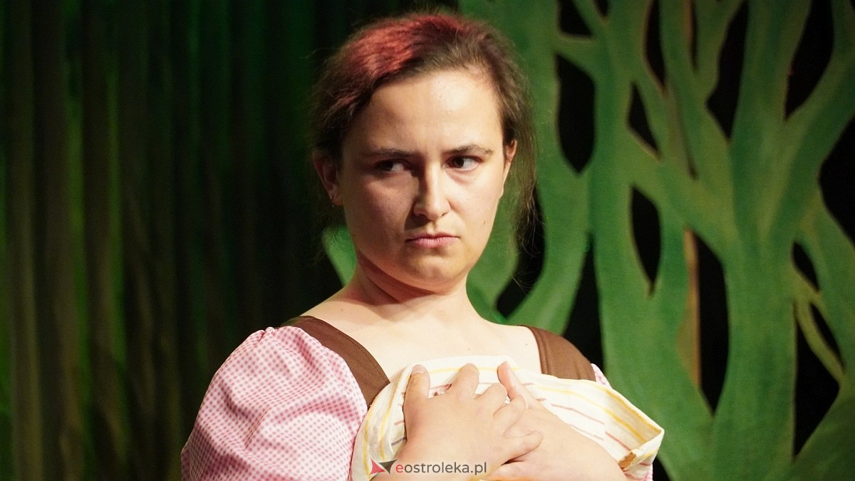 V Ostrołęcka Wiosna Teatralna - spektakl Bajki dla dorosłych, część 2 [19.06.2026] - zdjęcie #12 - eOstroleka.pl