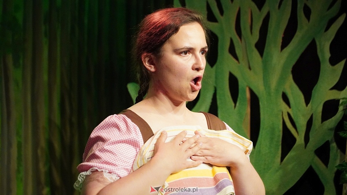 V Ostrołęcka Wiosna Teatralna - spektakl Bajki dla dorosłych, część 2 [19.06.2026] - zdjęcie #11 - eOstroleka.pl
