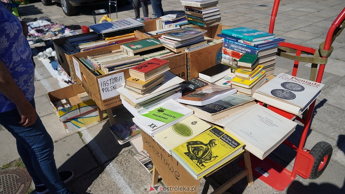 Pchli Targ w Ostrołęce [20.06.2026] - zdjęcie #120 - eOstroleka.pl