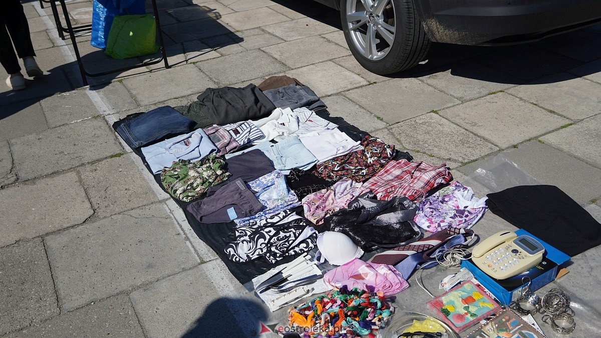 Pchli Targ w Ostrołęce [20.06.2026] - zdjęcie #111 - eOstroleka.pl