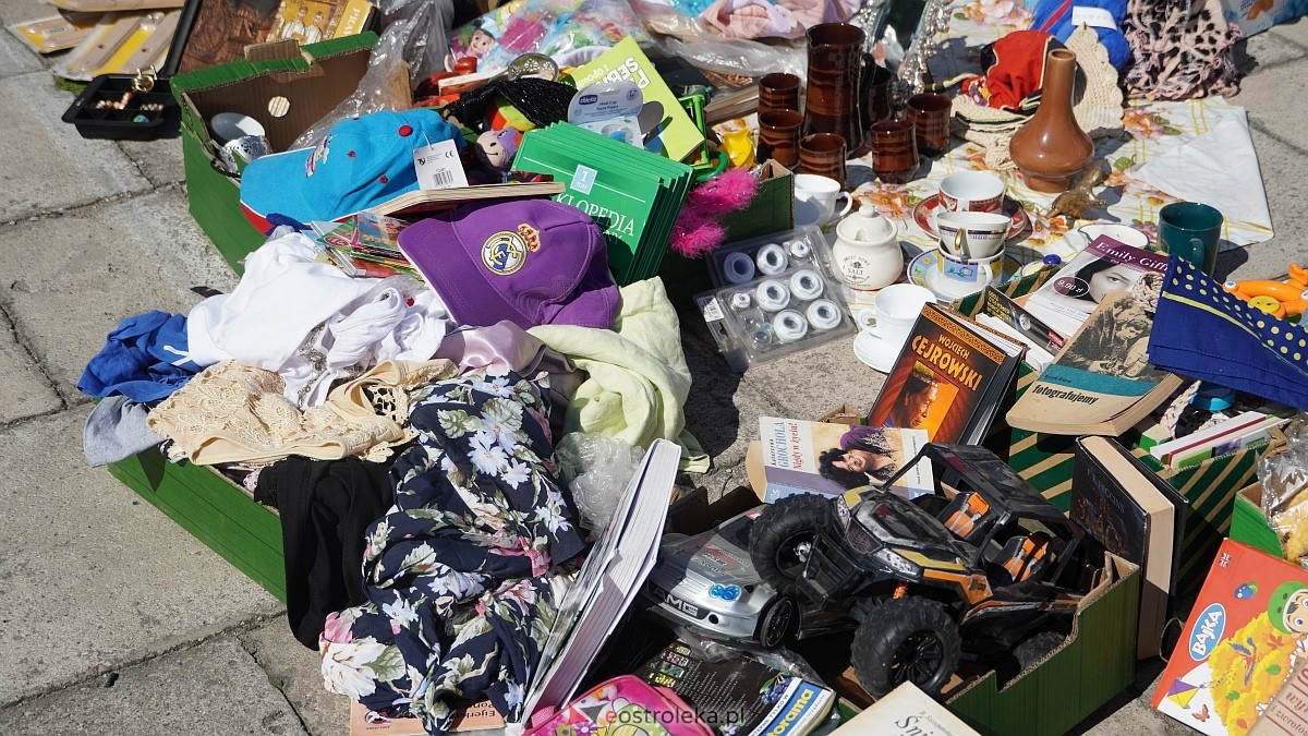Pchli Targ w Ostrołęce [20.06.2026] - zdjęcie #75 - eOstroleka.pl