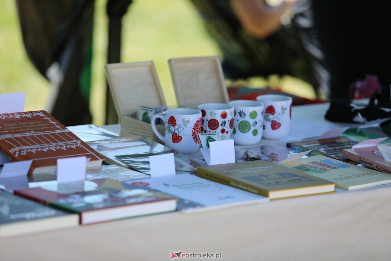 Piknik literacki Imieniny Wiktora na Fortach Bema [20.06.2026] - zdjęcie #7 - eOstroleka.pl