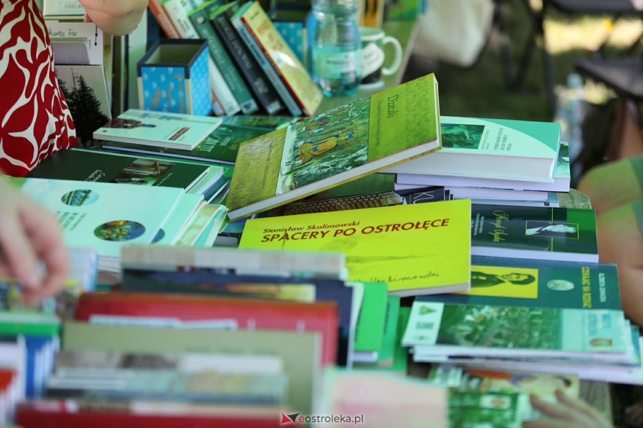 Piknik literacki Imieniny Wiktora na Fortach Bema [20.06.2026] - zdjęcie #1 - eOstroleka.pl