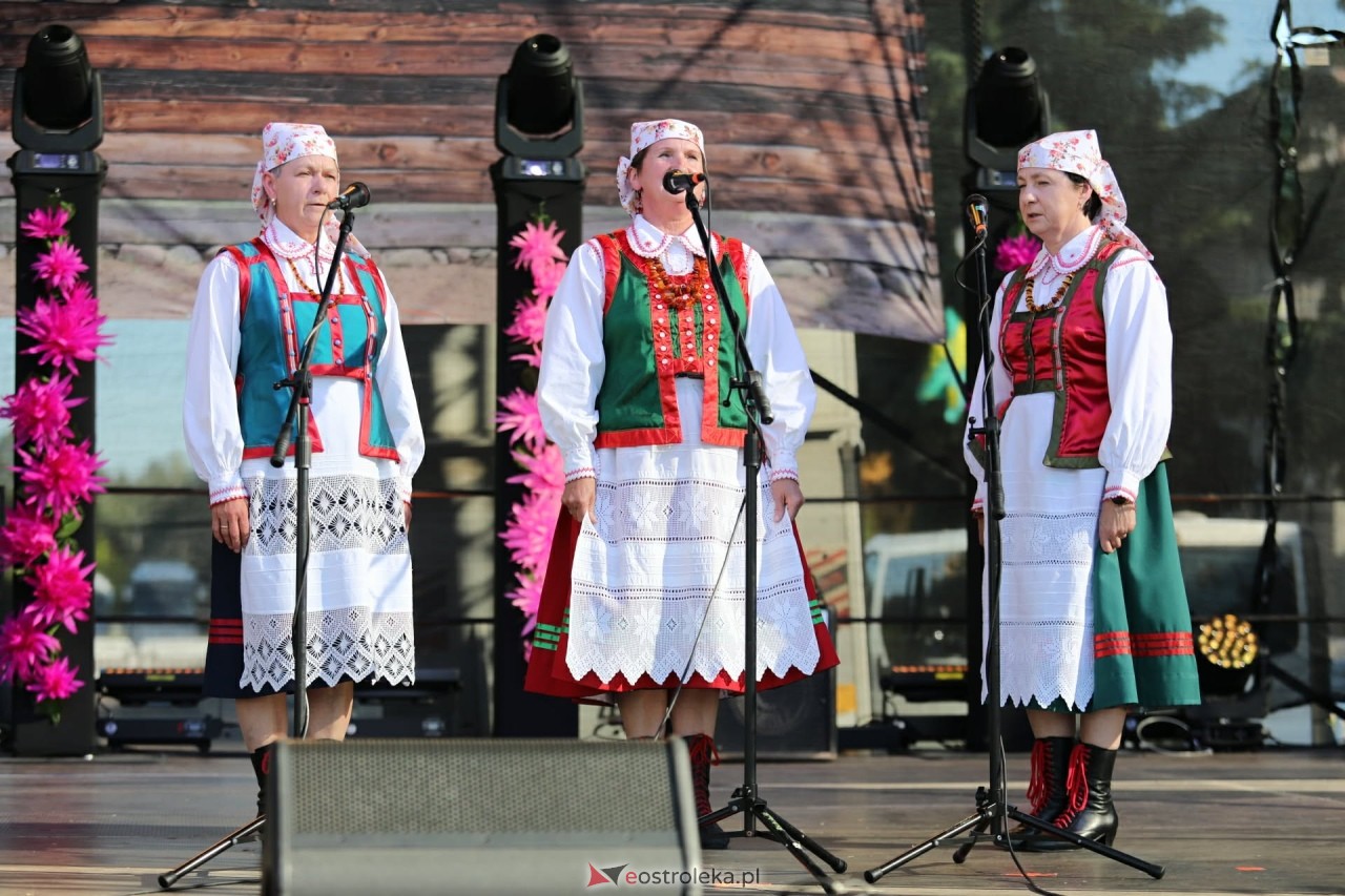 XXXI Wesele Kurpiowskie w Kadzidle  [20.06.2026] - zdjęcie #8 - eOstroleka.pl