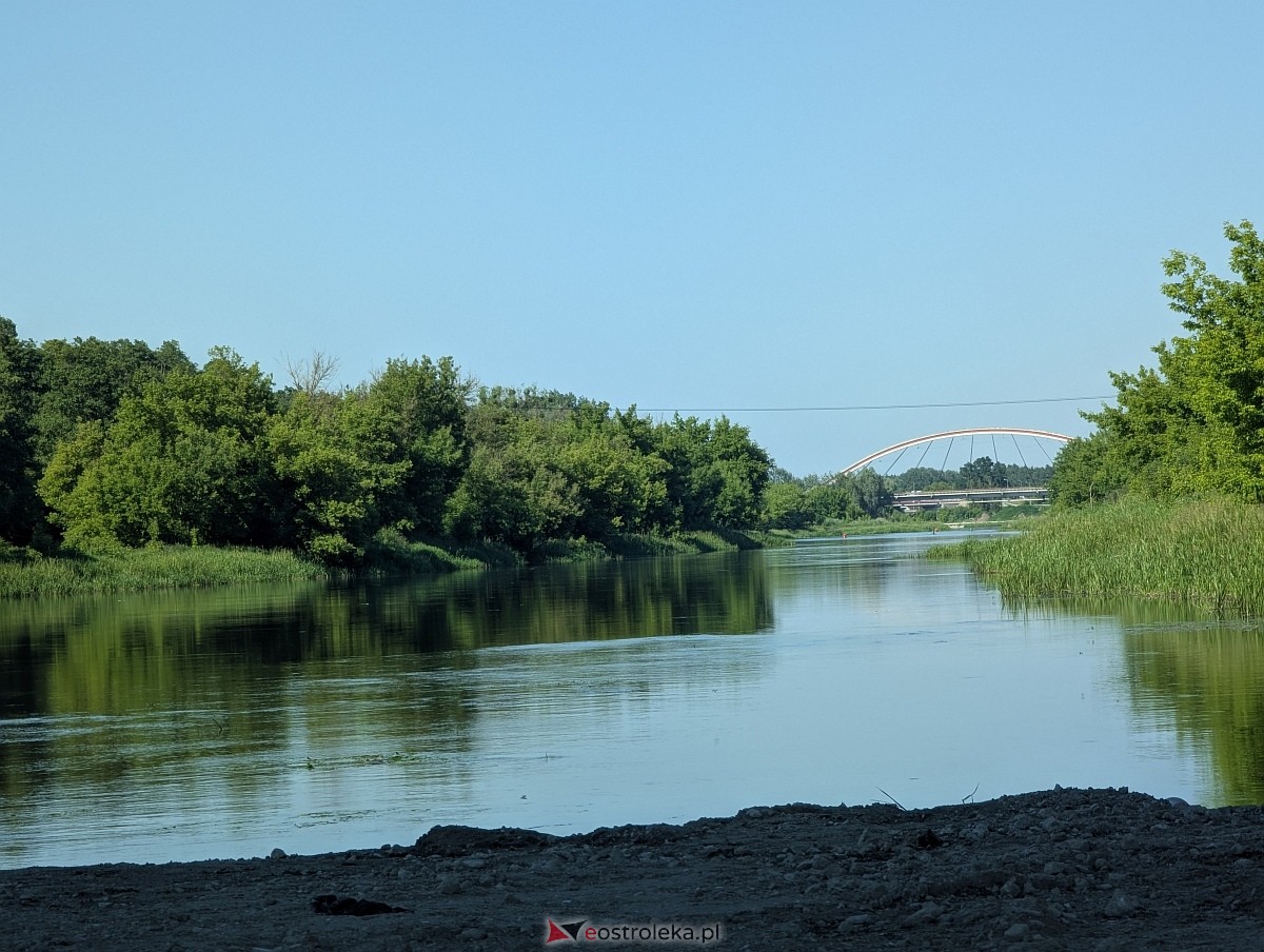 Budowa mostu przez Narew w Ostrołęce - stan z czerwca 2026 [20.06.2026] - zdjęcie #11 - eOstroleka.pl