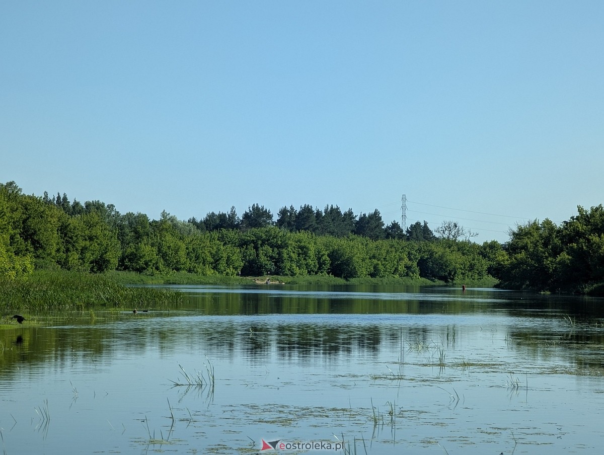 Budowa mostu przez Narew w Ostrołęce - stan z czerwca 2026 [20.06.2026] - zdjęcie #10 - eOstroleka.pl