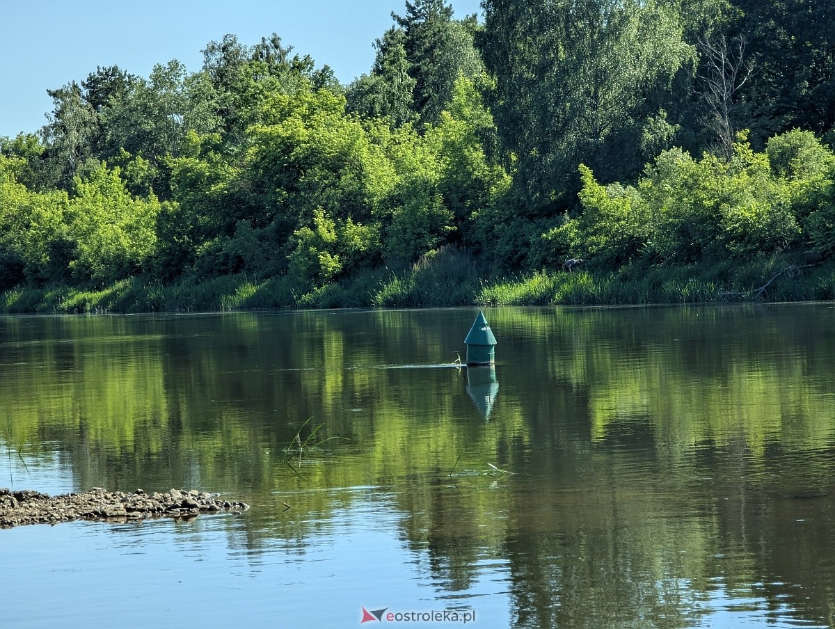 Budowa mostu przez Narew w Ostrołęce - stan z czerwca 2026 [20.06.2026] - zdjęcie #3 - eOstroleka.pl
