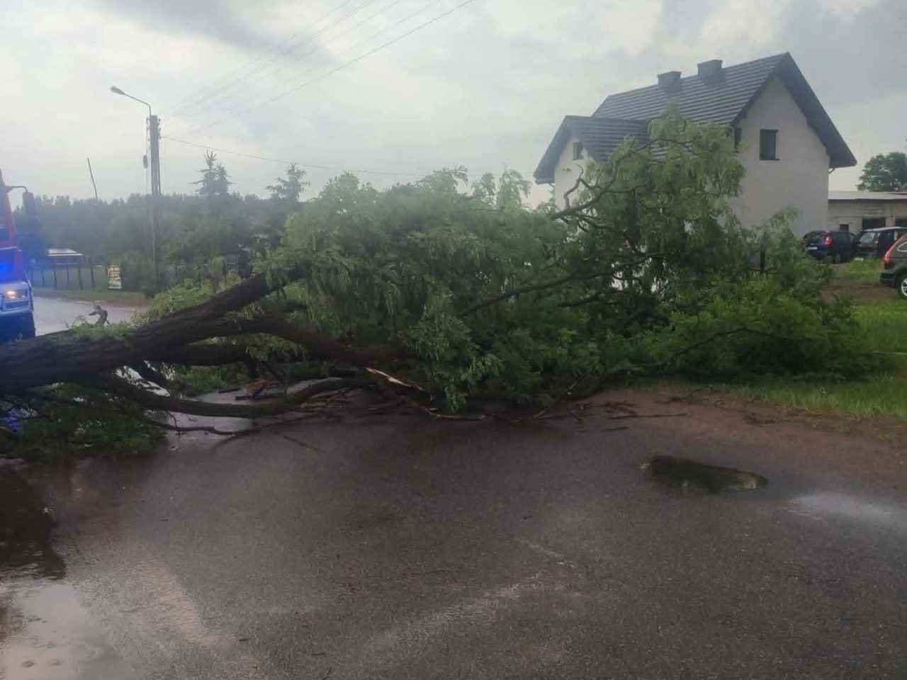 Ostrołęka i powiat walczyły ze skutkami nawałnicy [22.06.2026] - zdjęcie #6 - eOstroleka.pl