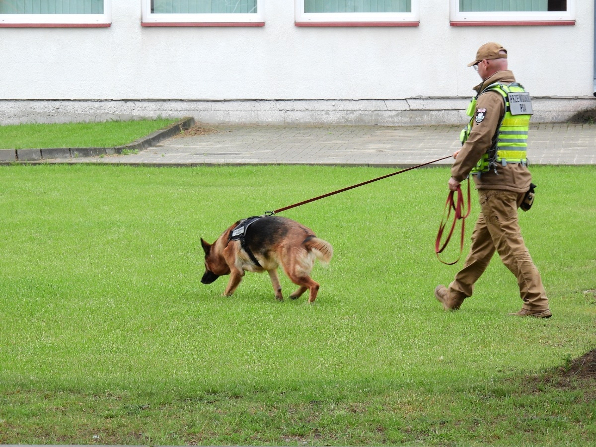 Wspólna zabawa i integracja. Piknik Rodzinny „Razem mamy siłę” w gminie Łyse [23.06.2026] - zdjęcie #30 - eOstroleka.pl