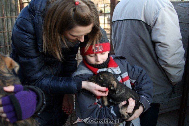 Charytatywna zbiórka w SP nr 5 - zdjęcie #8 - eOstroleka.pl