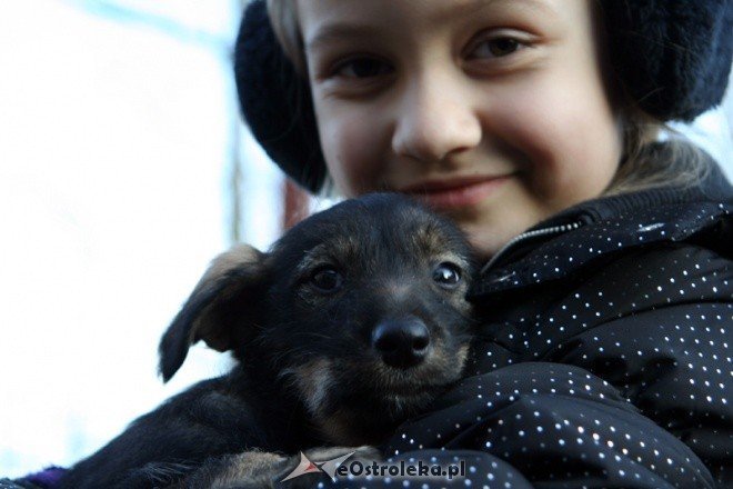 Charytatywna zbiórka w SP nr 5 - zdjęcie #3 - eOstroleka.pl