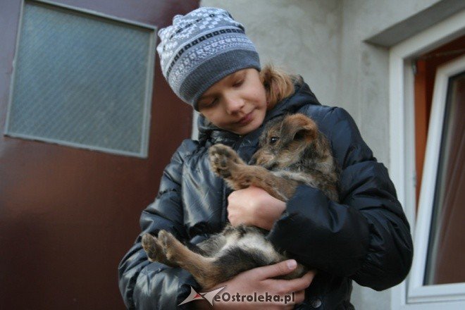 Charytatywna zbiórka w SP nr 5 - zdjęcie #2 - eOstroleka.pl