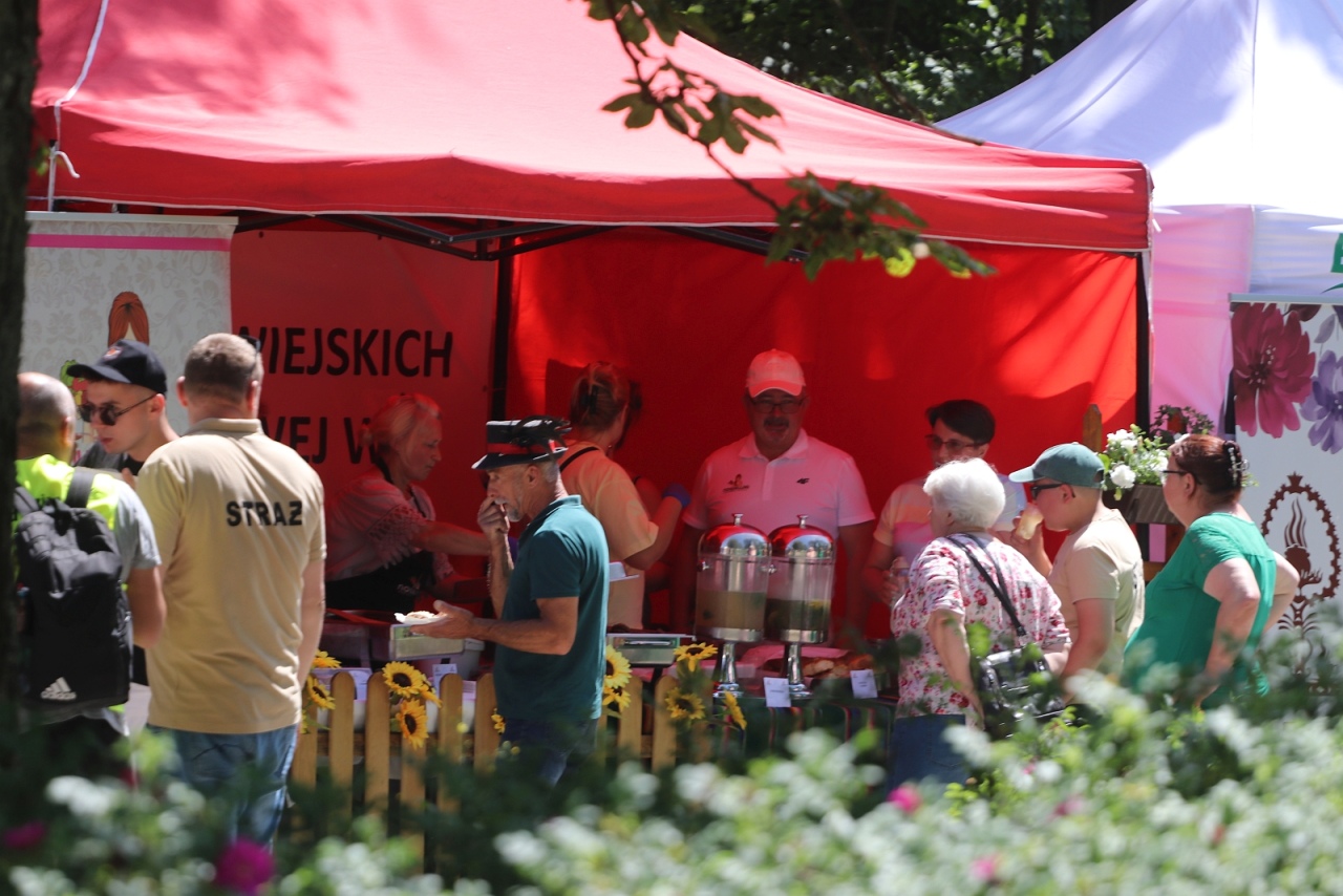 Przystań u Burbona - smaki tej ziemi [27.06.2026] - zdjęcie #104 - eOstroleka.pl