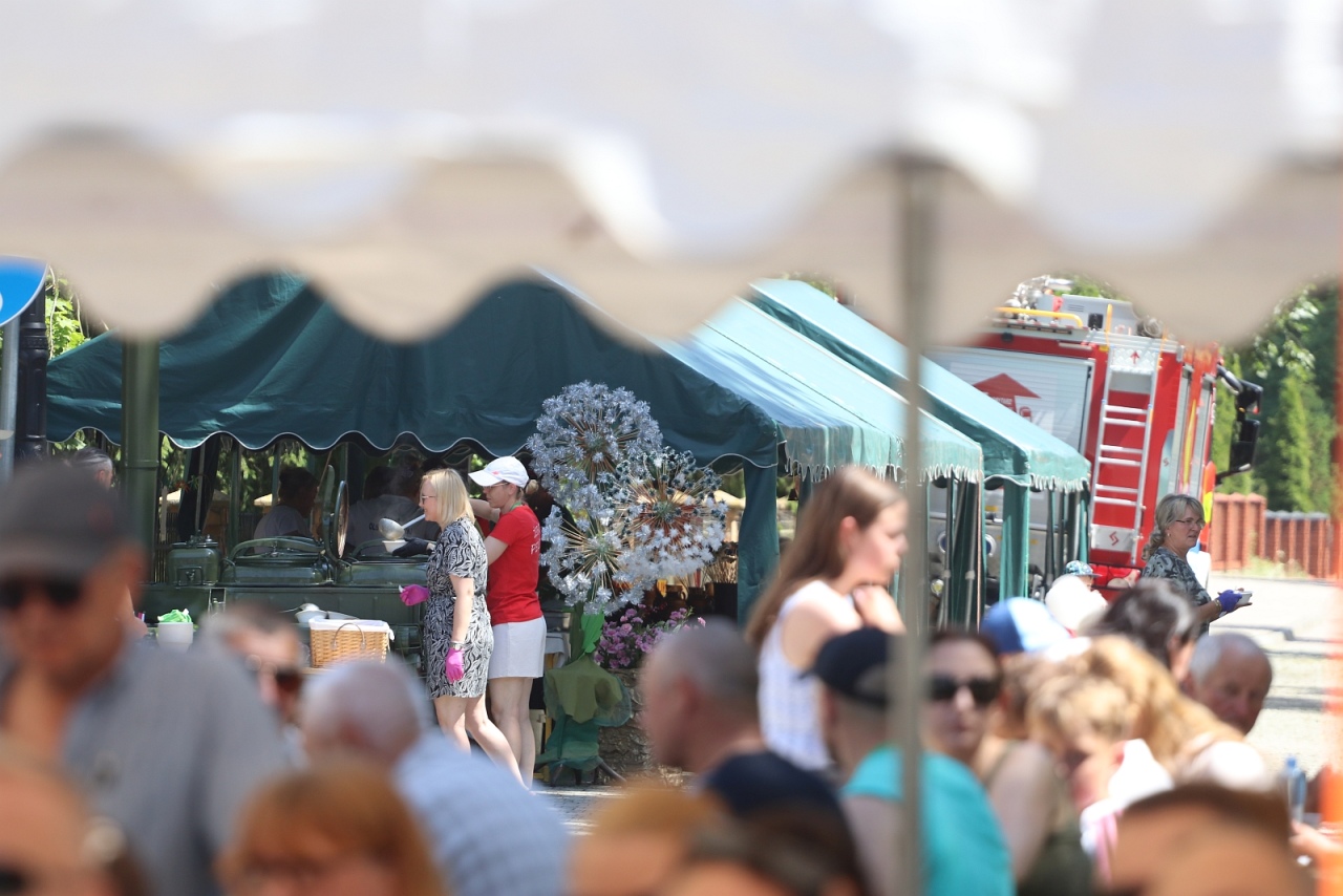 Przystań u Burbona - smaki tej ziemi [27.06.2026] - zdjęcie #98 - eOstroleka.pl