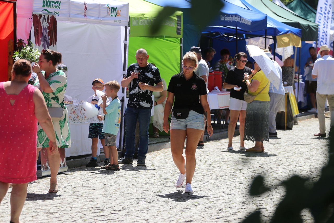 Przystań u Burbona - smaki tej ziemi [27.06.2026] - zdjęcie #76 - eOstroleka.pl