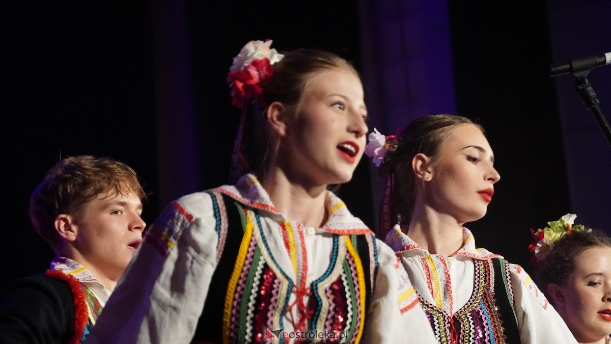 II Ostrołęckie Spotkania z Folklorem dzień drugi [28.06.2026] - zdjęcie #41 - eOstroleka.pl