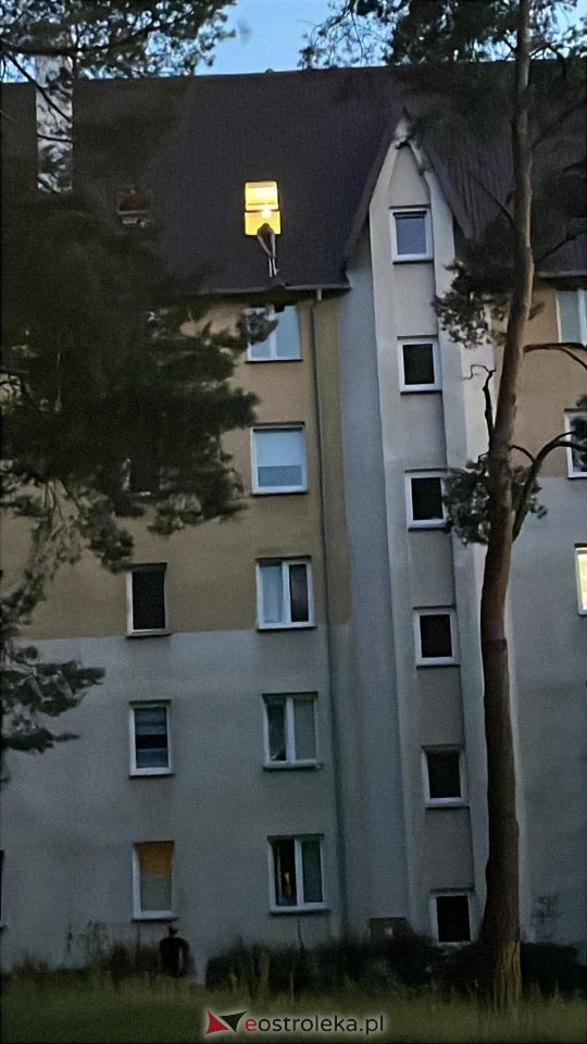 Akcja ratunkowa na Żebrowskiego [30.06.2026] - zdjęcie #4 - eOstroleka.pl