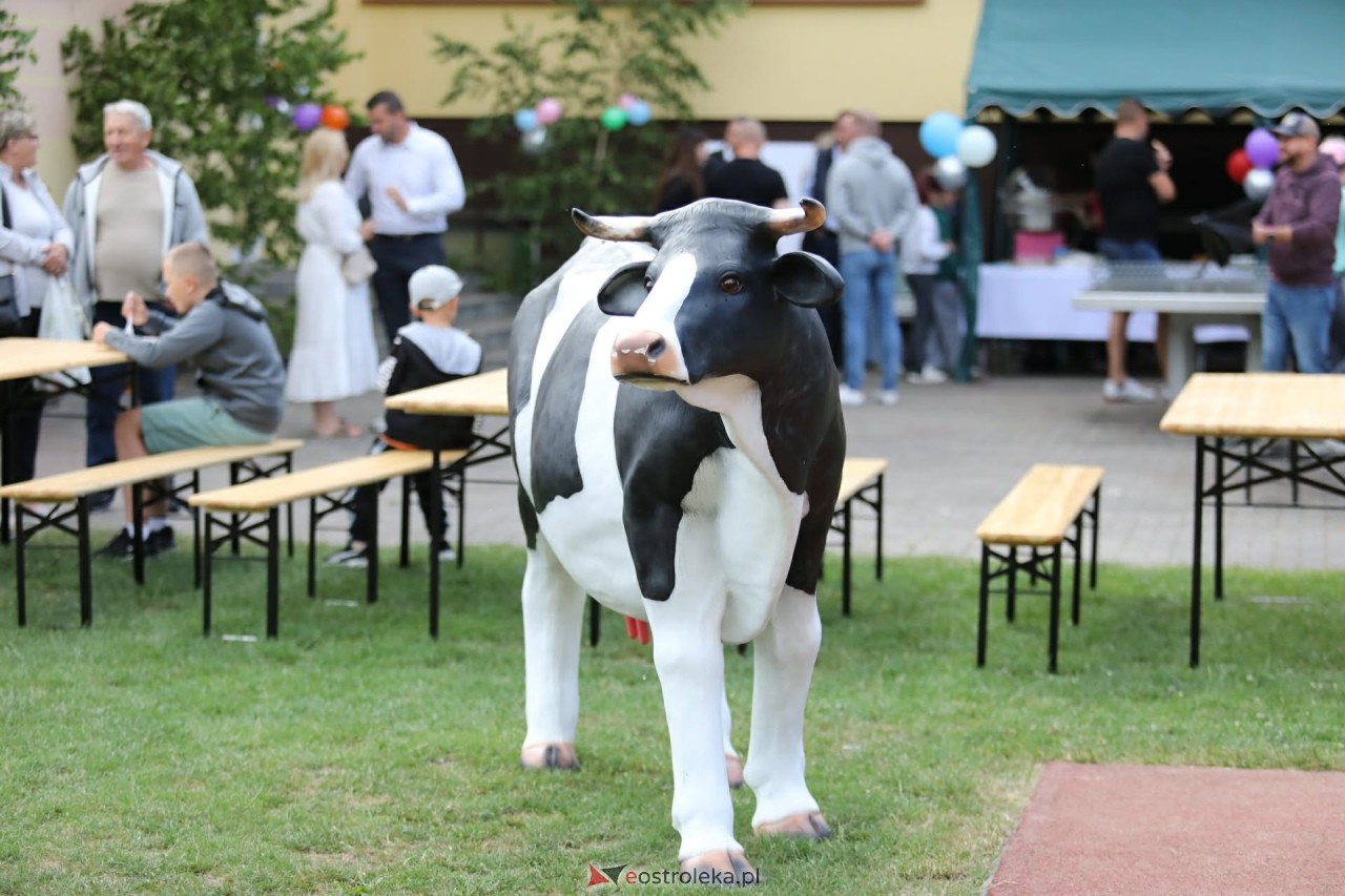 Piknik rodzinny w Białobieli [04.07.2026] - zdjęcie #65 - eOstroleka.pl