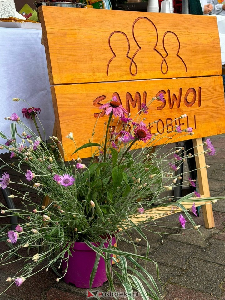 Piknik rodzinny w Białobieli [04.07.2026] - zdjęcie #62 - eOstroleka.pl