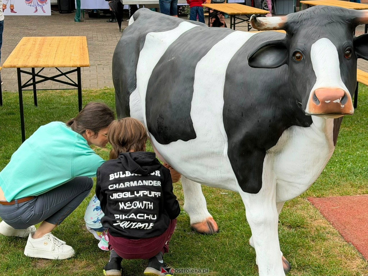 Piknik rodzinny w Białobieli [04.07.2026] - zdjęcie #15 - eOstroleka.pl