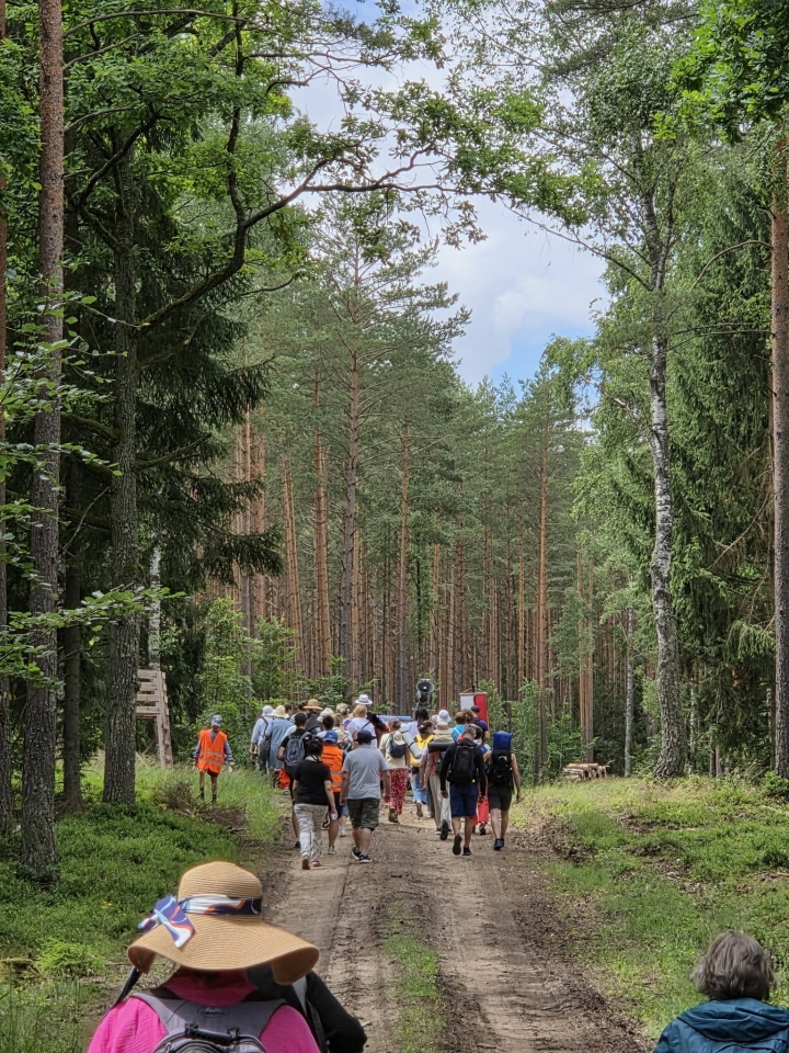 Piesza Pielgrzymka Kurpiowska do Gietrzwałdu [06.07.2026] - zdjęcie #7 - eOstroleka.pl