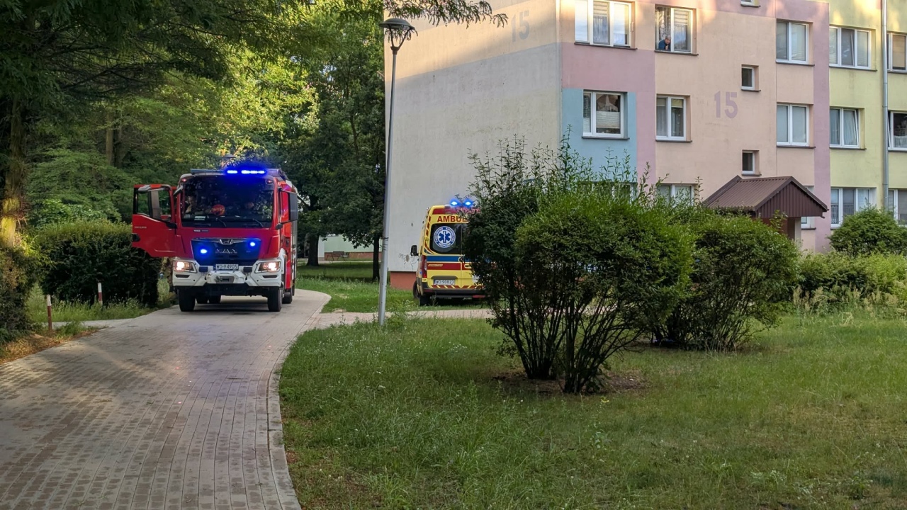 Interwencja służb przy Modrzejewskiej [10.07.2026] - zdjęcie #5 - eOstroleka.pl