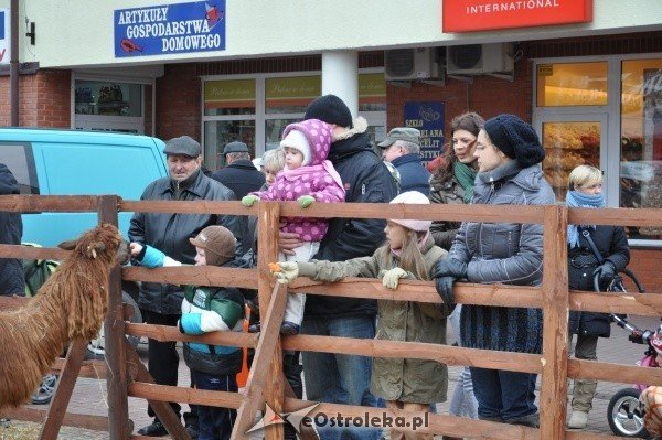 Wigilia Miejska: Prezydent i radni przełamali się opłatkiem z ostrołęczanami [17.XII.2011] - zdjęcie #5 - eOstroleka.pl