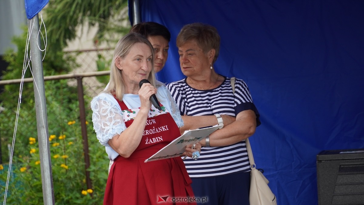 Festiwal pierogów w Żabinie [18.07.2026] - zdjęcie #5 - eOstroleka.pl