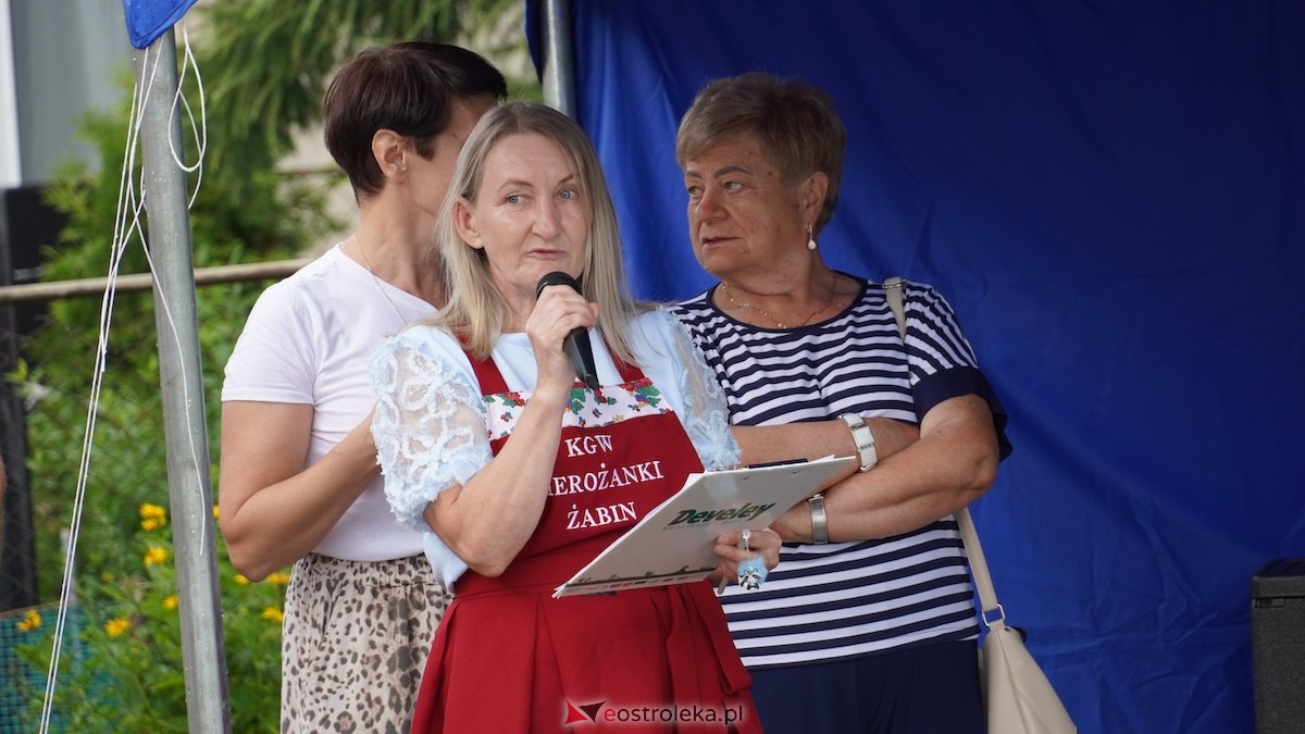Festiwal pierogów w Żabinie [18.07.2026] - zdjęcie #4 - eOstroleka.pl