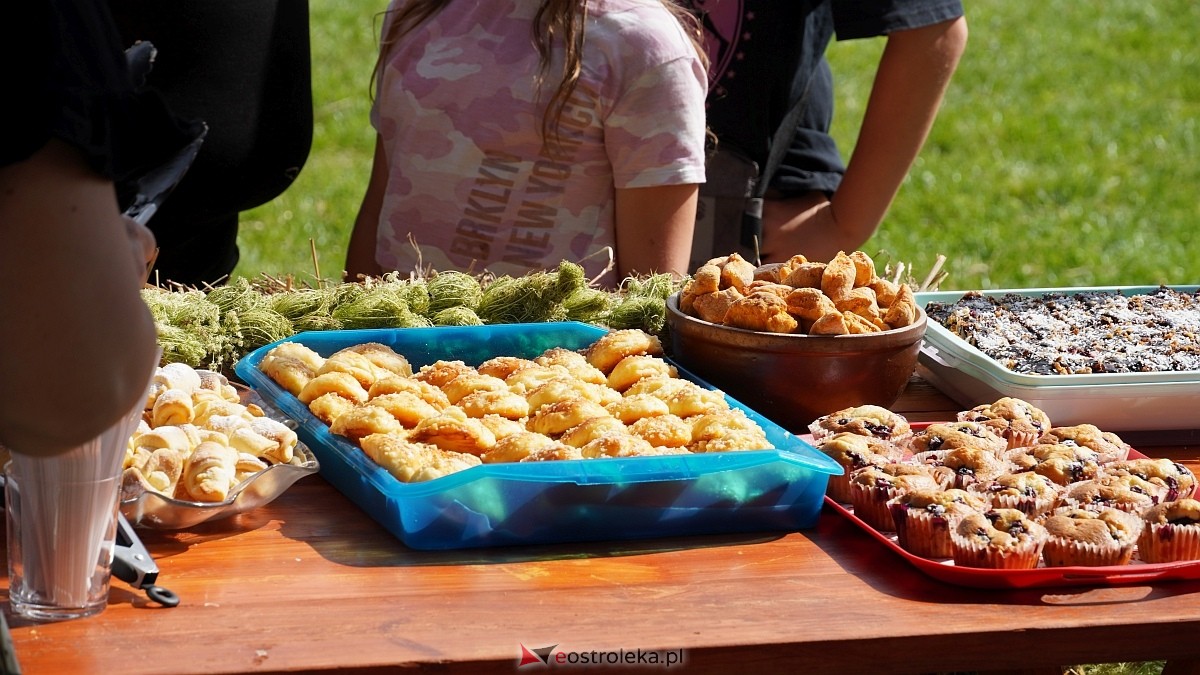 Piknik sołecki w Laskowcu [8.08.2026] - zdjęcie #67 - eOstroleka.pl