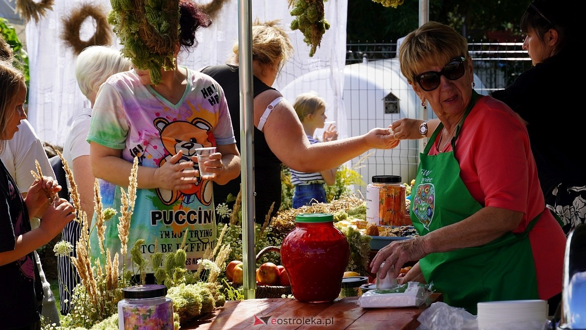Piknik sołecki w Laskowcu [8.08.2026] - zdjęcie #64 - eOstroleka.pl