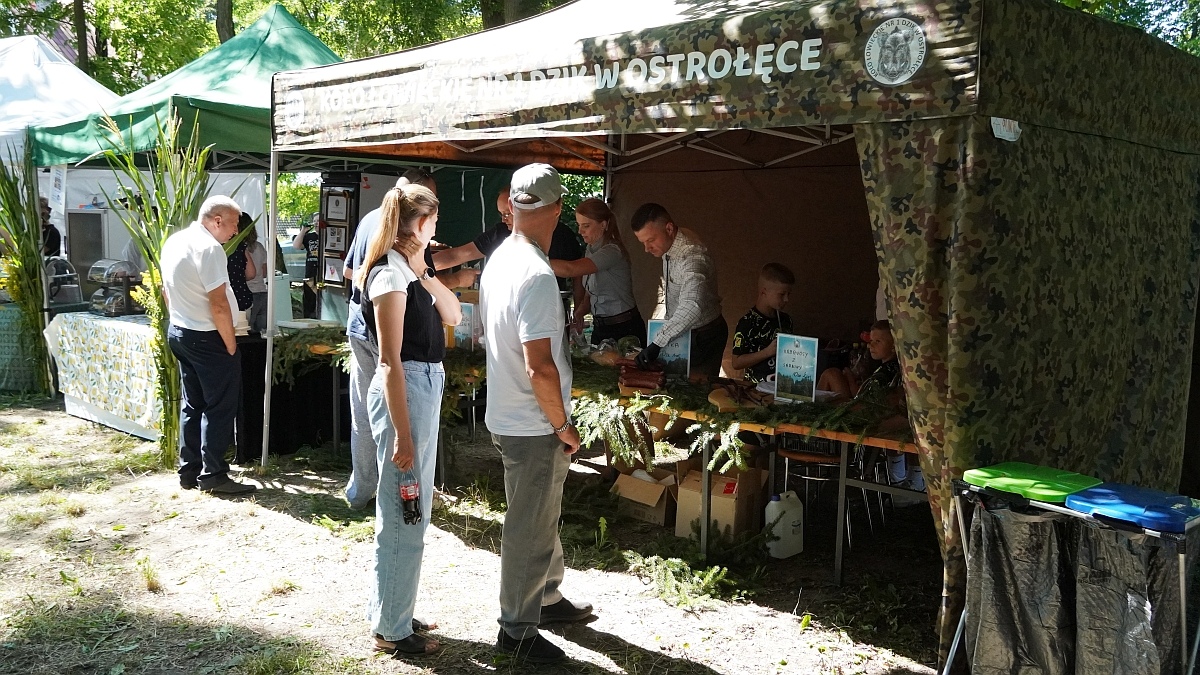 Biesiada Dożynkowa w Przytułach Starych [09.08.2026] - zdjęcie #186 - eOstroleka.pl