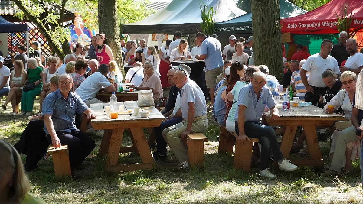 Biesiada Dożynkowa w Przytułach Starych [09.08.2026] - zdjęcie #7 - eOstroleka.pl