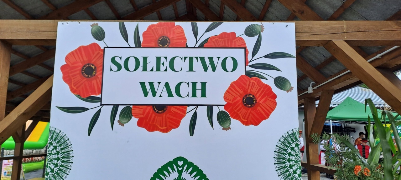 Piknik Rodzinny w Wachu [8.08.2026] - zdjęcie #10 - eOstroleka.pl