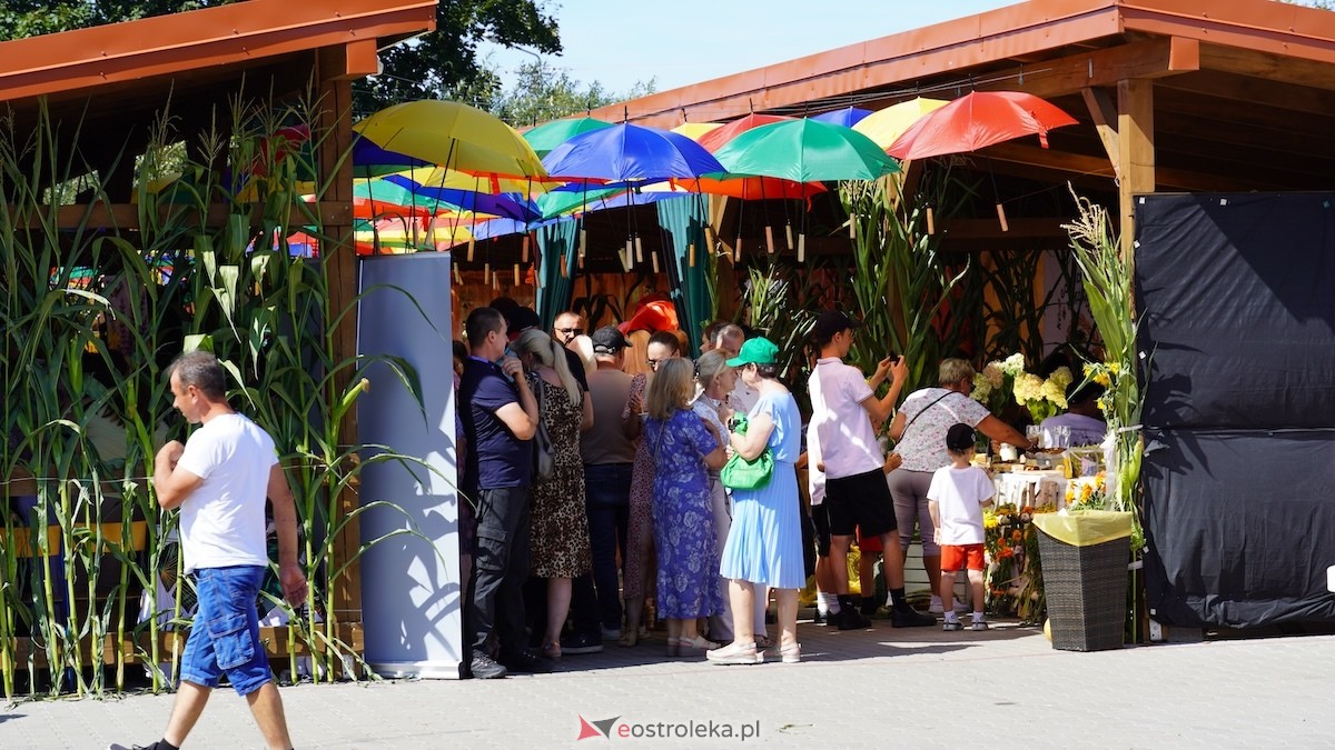 XXIV Jarmarki Czerwińskie [15.08.2026] - zdjęcie #155 - eOstroleka.pl
