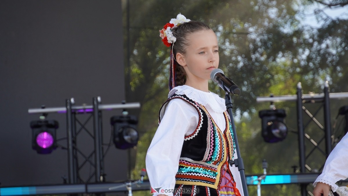 XXIV Jarmarki Czerwińskie [15.08.2026] - zdjęcie #86 - eOstroleka.pl