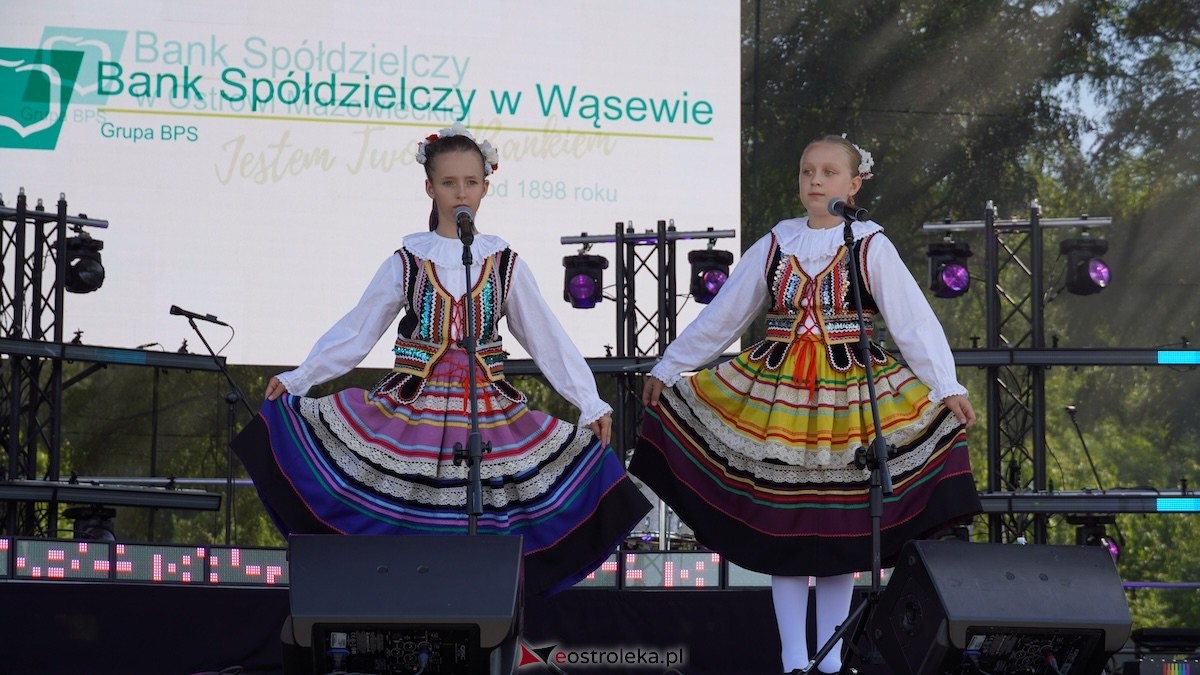 XXIV Jarmarki Czerwińskie [15.08.2026] - zdjęcie #84 - eOstroleka.pl