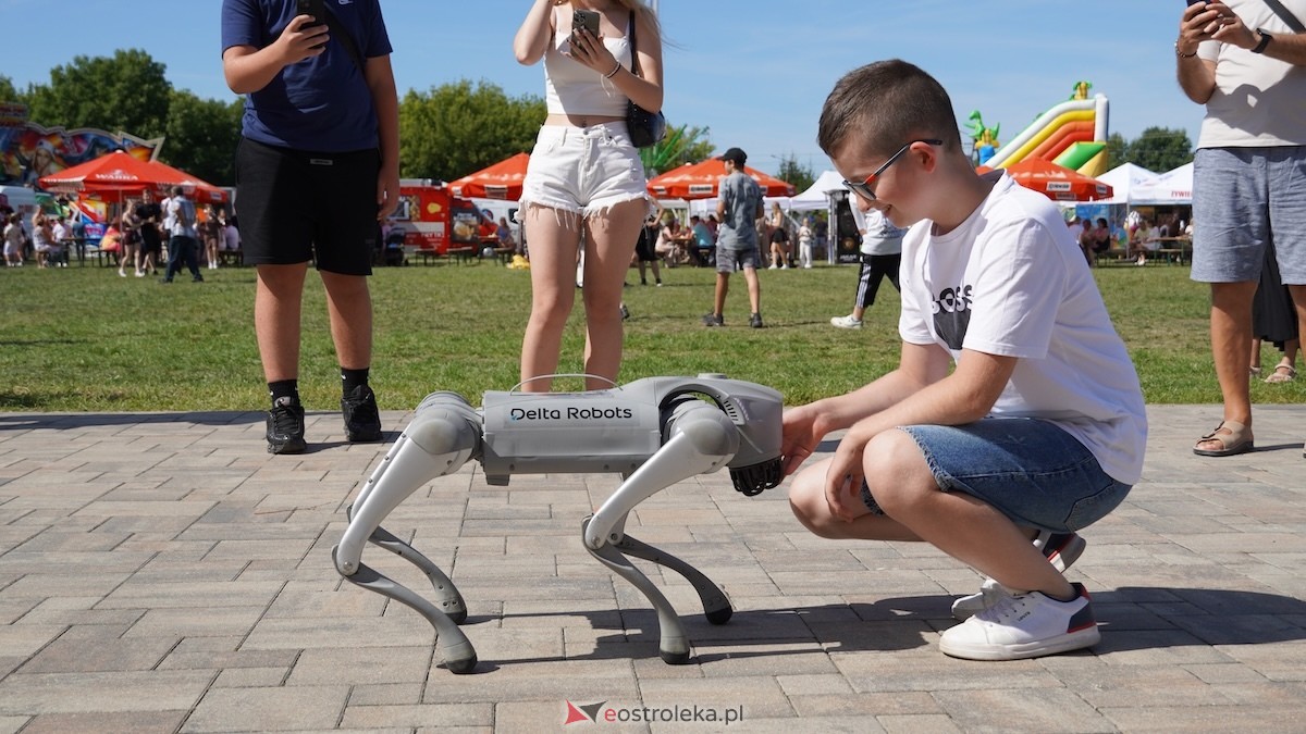 XXIV Jarmarki Czerwińskie [15.08.2026] - zdjęcie #58 - eOstroleka.pl