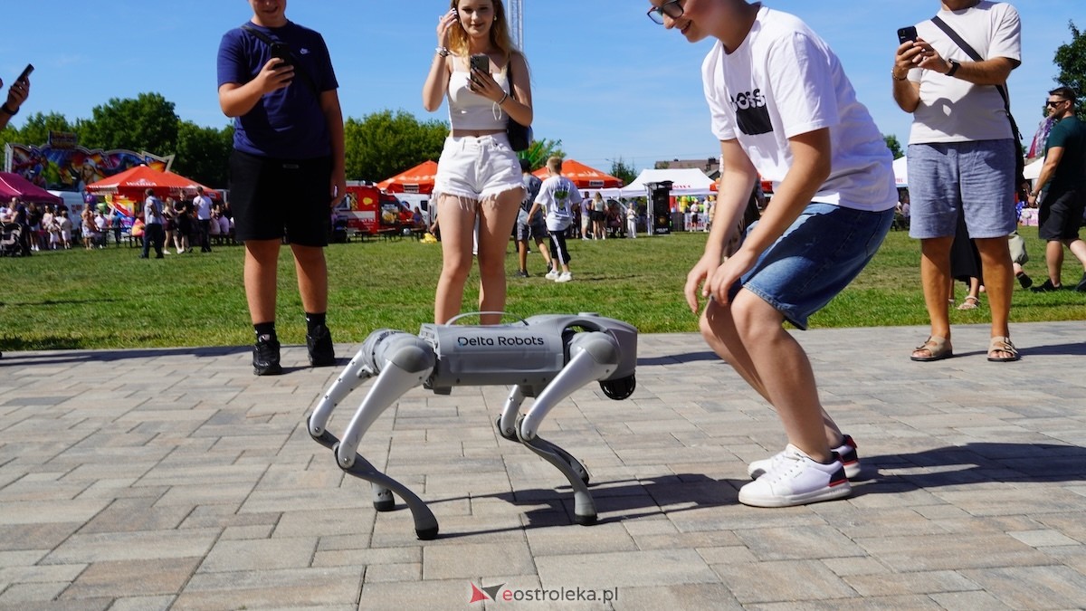 XXIV Jarmarki Czerwińskie [15.08.2026] - zdjęcie #57 - eOstroleka.pl