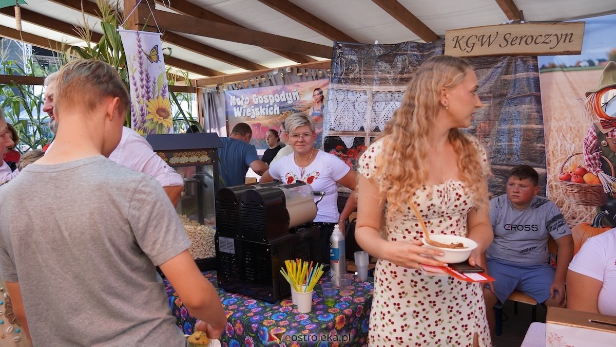 XXIV Jarmarki Czerwińskie [15.08.2026] - zdjęcie #15 - eOstroleka.pl